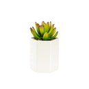 VivaStyle Faux Floral Table Décor, Succulent with Cream Cement Planter, Asst of 3, CDU