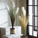 39" Potted Artificial Pampas Grass with Faux Moss, White