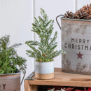 Woodland Storybook Faux Floral Table Decor Mini Frosted Tree with Pot, 11", CDU