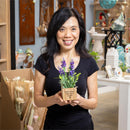 Spring Blooms in LED Wooden Pot