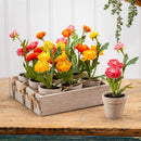 Hop Into Spring Faux Floral Table Decor Artificial Ranunculus in Cement Look Pot, In Wood Crate CDU