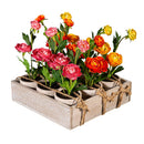 Hop Into Spring Faux Floral Table Decor Artificial Ranunculus in Cement Look Pot, In Wood Crate CDU