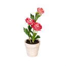 Hop Into Spring Faux Floral Table Decor Artificial Ranunculus in Cement Look Pot, In Wood Crate CDU