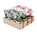 Hydrangea Table Top Artificial in Cement Look Pot, Wooden Crate CDU