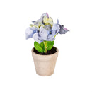Hydrangea Table Top Artificial in Cement Look Pot, Wooden Crate CDU