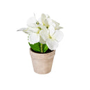 Hydrangea Table Top Artificial in Cement Look Pot, Wooden Crate CDU