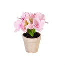 Hydrangea Table Top Artificial in Cement Look Pot, Wooden Crate CDU