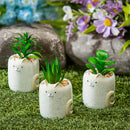 Cat Succulent Pot, CDU