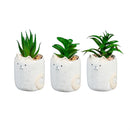 Cat Succulent Pot, CDU