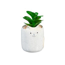 Cat Succulent Pot, CDU