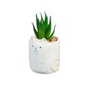Cat Succulent Pot, CDU