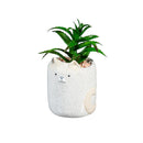 Cat Succulent Pot, CDU