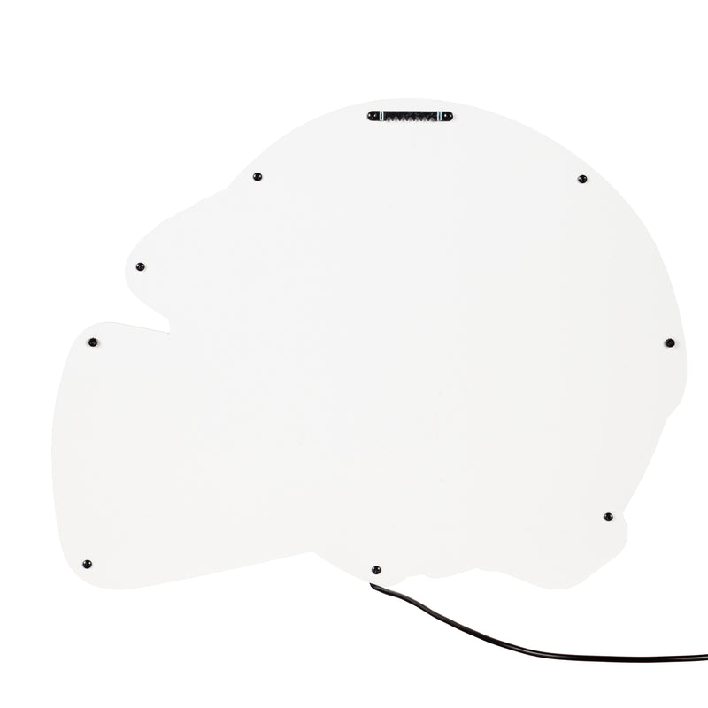 Las Vegas Raiders NFL Football Helmet Edgelite LED Decor