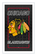 Chicago Blackhawks Hockey Rectangle Neolite LED Decor