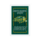 North Dakota State University College Rectangle Neolite LED Decor