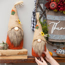 LED Plush Gnomes, Set of 2