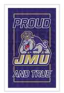 James Madison University College Rectangle Neolite LED Decor