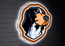 University of Tennessee College Mascot Glazelite LED Decor