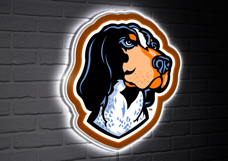 University of Tennessee College Mascot Glazelite LED Decor