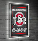 22"H x 14"L NeoLite Wall Decor, Rectangle, Ohio State University,8led973nlrt
