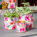 Pastels of Nature Metal Planters, Set of 3