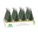 Shades of Emerald LED Table Decor Christmas Tree Bottle Brush Plastic, CDU, 5"H