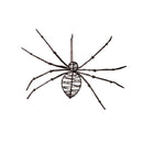 Metal Standing Spider Tabletop Decor Set,8tam458