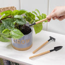 Cottage Garden Gift Set, Mini Garden Tools