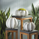 NAPA Home & Garden, MARINA SEA URCHIN POT 8",AN214