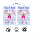 Somebunny Loves You Applique Flag House