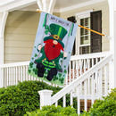 Leprechaun Swing Applique Flag House