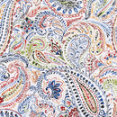 Payton Paisley Twin Quilt Set