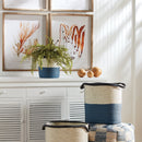 NAPA Home & Garden, Boston Fern Drop-In Collection