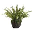 NAPA Home & Garden, Boston Fern Drop-In Collection