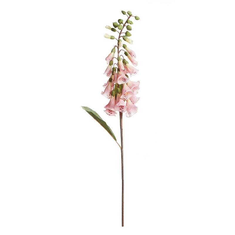 Napa Home Garden, FOX GLOVE 24" STEM PINK,cc246pkl