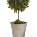 NAPA Home & Garden, Barclay Butera Faux Boxwood Topiary Potted Plant