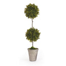 NAPA Home & Garden, BARCLAY BUTERA FAUX BOXWOOD TOPIARY POTTED 25",CC256