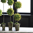 NAPA Home & Garden, Barclay Butera Faux Boxwood Topiary Potted Plant