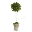 Napa Home Garden, BB FAUX BOXWOOD 19" TOPIARY POTTED,cc258