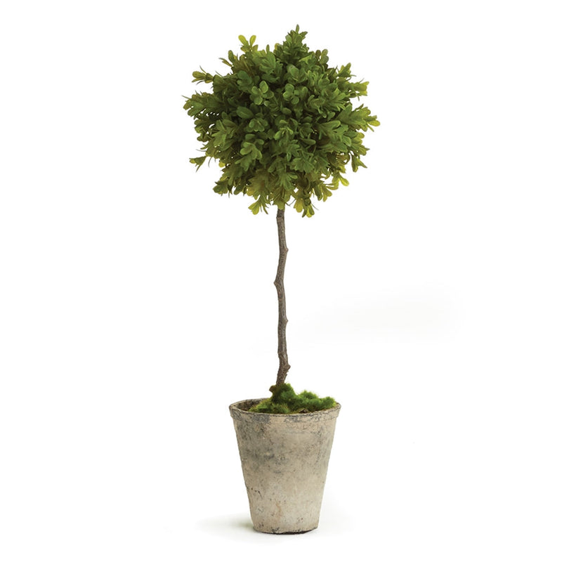 Napa Home Garden, BB FAUX BOXWOOD 19" TOPIARY POTTED,cc258