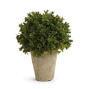 NAPA Home & Garden Faux Boxwood Shrub Potted Plant