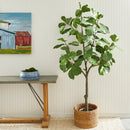 NAPA Home & Garden, FIDDLE LEAF FIG TREE POTTED 79",CC294