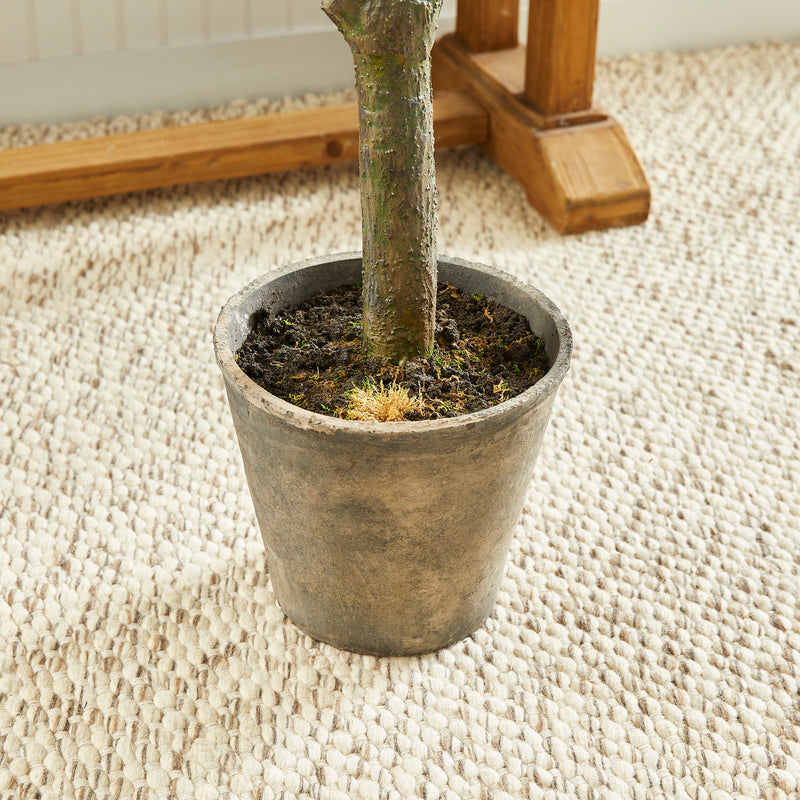 NAPA Home & Garden, FIDDLE LEAF FIG TREE POTTED 79",CC294