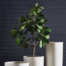 NAPA Home & Garden, FIDDLE LEAF FIG TREE POTTED 79",CC294