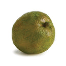 NAPA Home & Garden, HEDGE APPLE & PERSIMMON BRANCH Collection