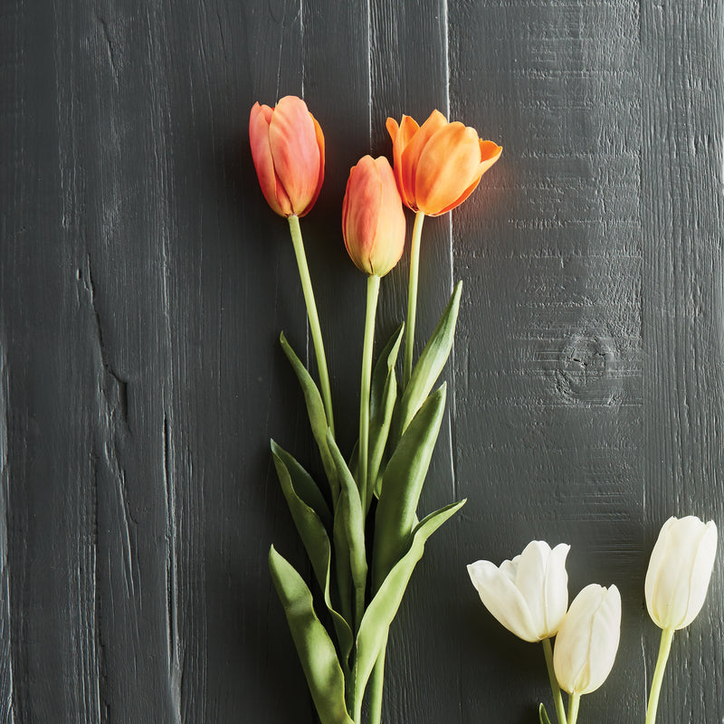 NAPA Home & Garden, FRENCH TULIPS 24", BUNDLE OF 3,CC316RG