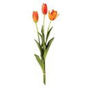 NAPA Home & Garden, FRENCH TULIPS, BUNDLE OF 3