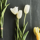 NAPA Home & Garden, FRENCH TULIPS, BUNDLE OF 3