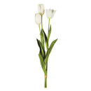 NAPA Home & Garden, FRENCH TULIPS, BUNDLE OF 3