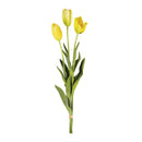 NAPA Home & Garden, FRENCH TULIPS, BUNDLE OF 3